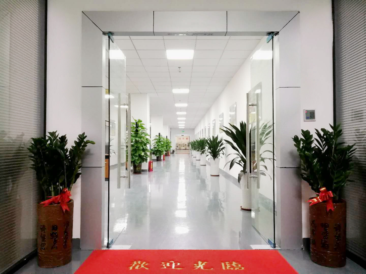 榴莲视频黄色在线观看科